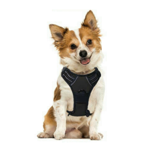 Heavy Duty No Pulling Front Clipping Dog Harness - Image 3