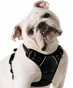 Heavy Duty No Pulling Front Clipping Dog Harness