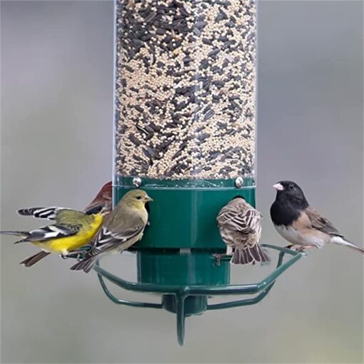 Squirrel Proof Bird Feeder - Image 9