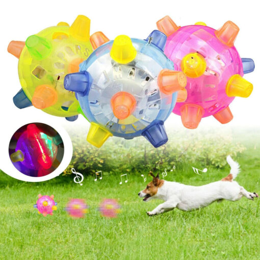 New Jumping Activation Ball For Dogs - Image 12