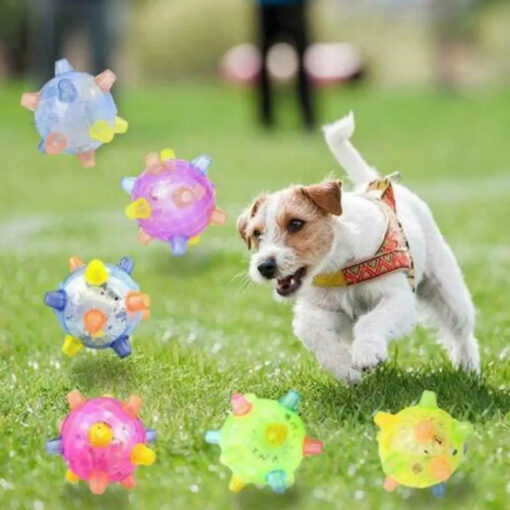 New Jumping Activation Ball For Dogs - Image 11
