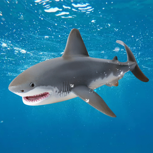 Realistic Baby Shark Bath Pool Toy - Image 3