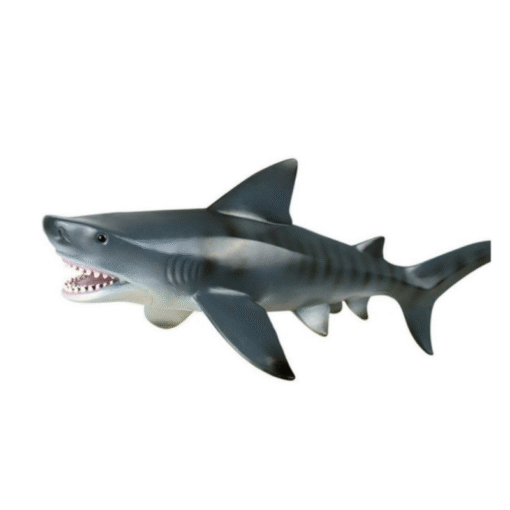 Realistic Baby Shark Bath Pool Toy - Image 7