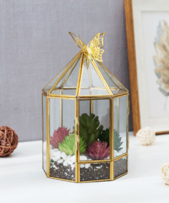 Hexagonal Closed Indoor Glass Plant Standing Terrarium