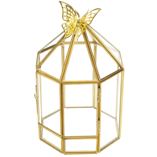 Hexagonal Closed Indoor Glass Plant Standing Terrarium - Image 3