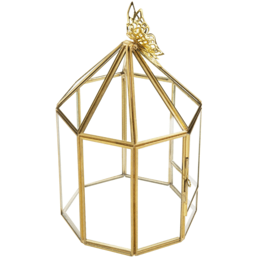 Hexagonal Closed Indoor Glass Plant Standing Terrarium - Image 4