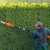 Electric Cordless Battery Powered Extendable Pole Saw