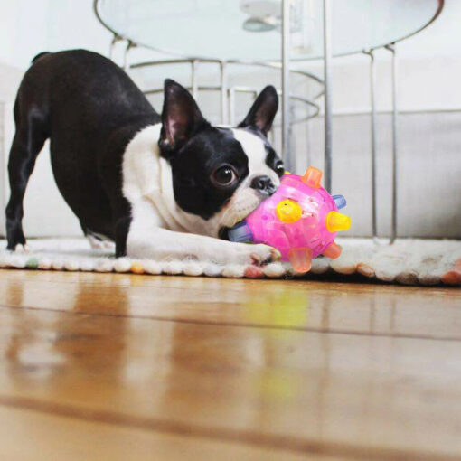 New Jumping Activation Ball For Dogs - Image 6