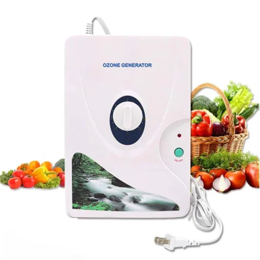 Professional Air Ozone Generator Machine 600 mg/h