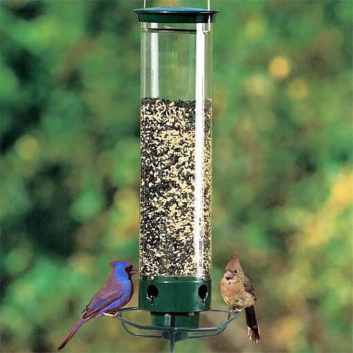 Squirrel Proof Bird Feeder - Image 11