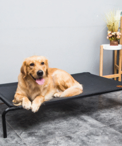 Soft Elevated Dog Cot Bed