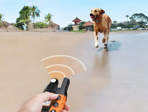 Premium 1000m Dog Training Collar with Remote - Image 5