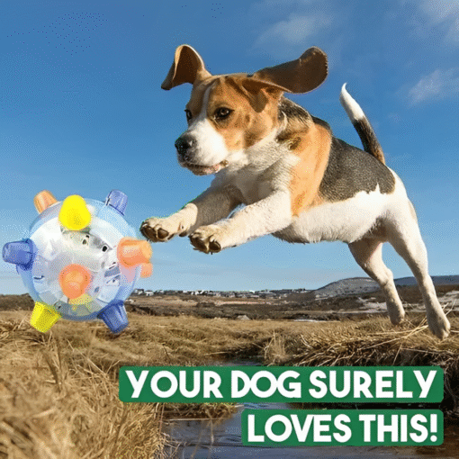 New Jumping Activation Ball For Dogs - Image 7