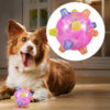 New Jumping Activation Ball For Dogs