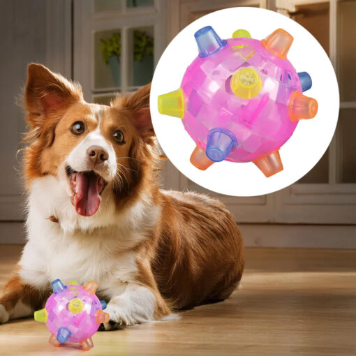 New Jumping Activation Ball For Dogs