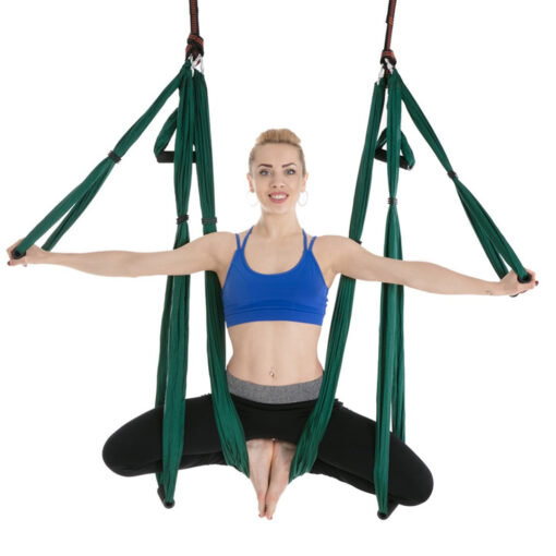 Aerial Yoga Trapeze Body Hammock Swing - Image 8