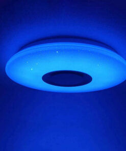 LED Flush Mount Ceiling Modern Light With Music