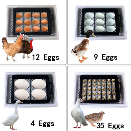 35 Premium Automatic Chicken Egg Incubator - Image 7