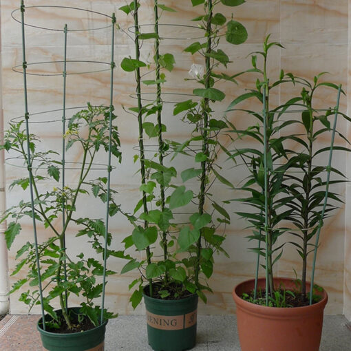 Heavy Duty Tomato Plant Support Trellis Cage - Image 3