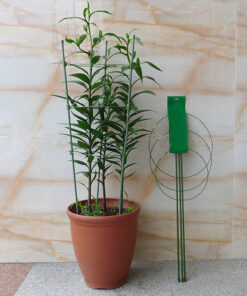 Heavy Duty Tomato Plant Support Trellis Cage