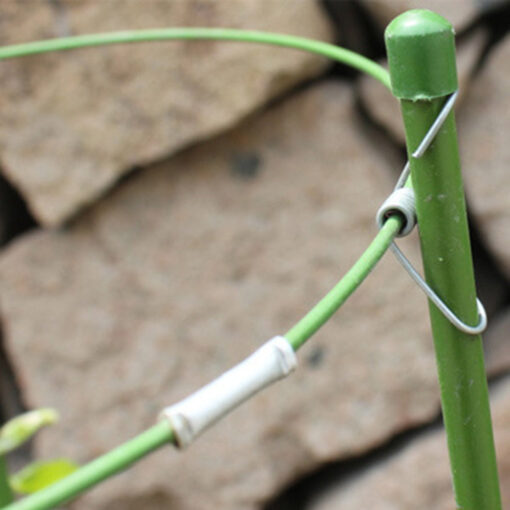 Heavy Duty Tomato Plant Support Trellis Cage - Image 4