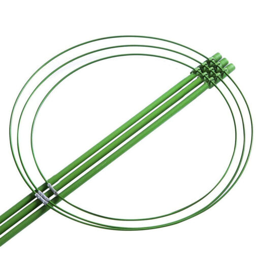 Heavy Duty Tomato Plant Support Trellis Cage - Image 2