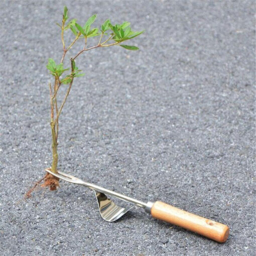 Premium Garden Hand Held Weeding Tool - Image 3