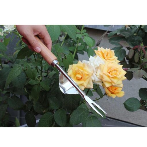 Premium Garden Hand Held Weeding Tool - Image 2