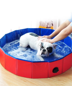 Spacious Portable Bathtub For Dogs