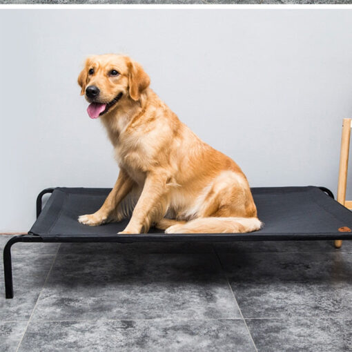 Soft Elevated Dog Cot Bed - Image 2