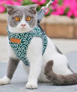 Escape Proof Cat Walking Vest Harness Leash