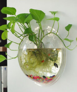 Luxurious Wall Mounted Planter Holder
