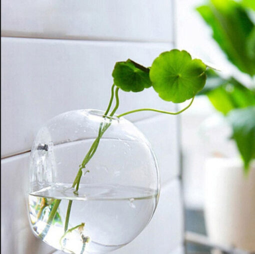 Luxurious Wall Mounted Planter Holder - Image 8
