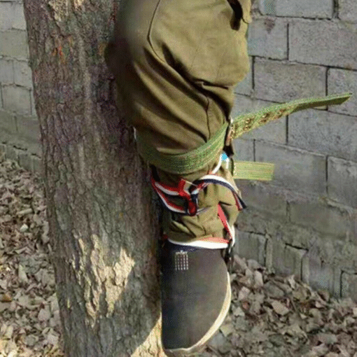 Premium Tree Climbing Spur Spikes - Image 7